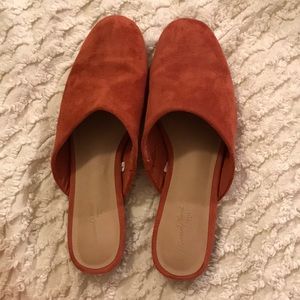 Coral mules